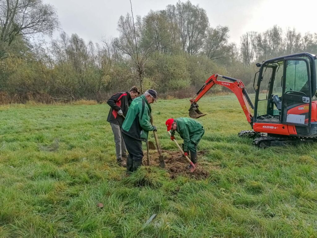 44 hochstämmige Obstgehölze wurden gepflanzt und mit einem Verbiss-Schutz ausgestattet.