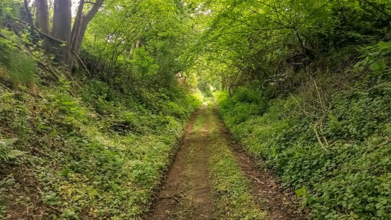 Hohlweg