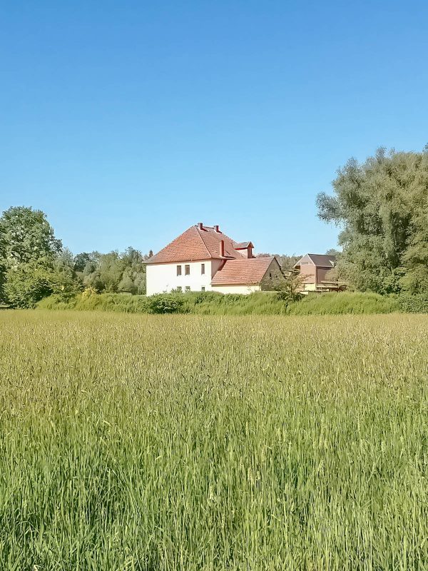 Artenschutzhaus Pampel